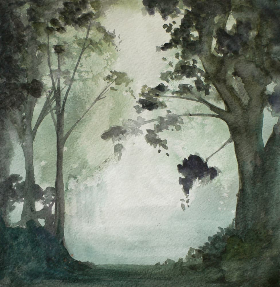 Misty Forest Path by Christine Lindstrom — canvas wall art