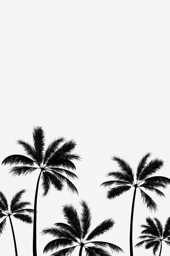 Tropical Palm Silhouettes by Karen Menzenbach — canvas wall art