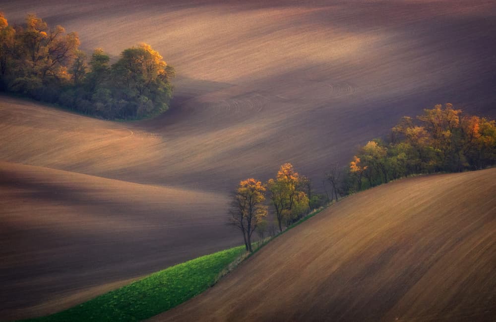 Autumn Rolling Fields by Ales Komovec — canvas wall art
