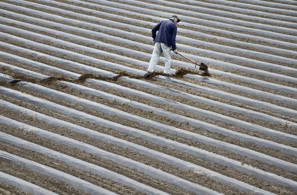 Farmer Cultivating Field by Claudio Moretti — canvas wall art