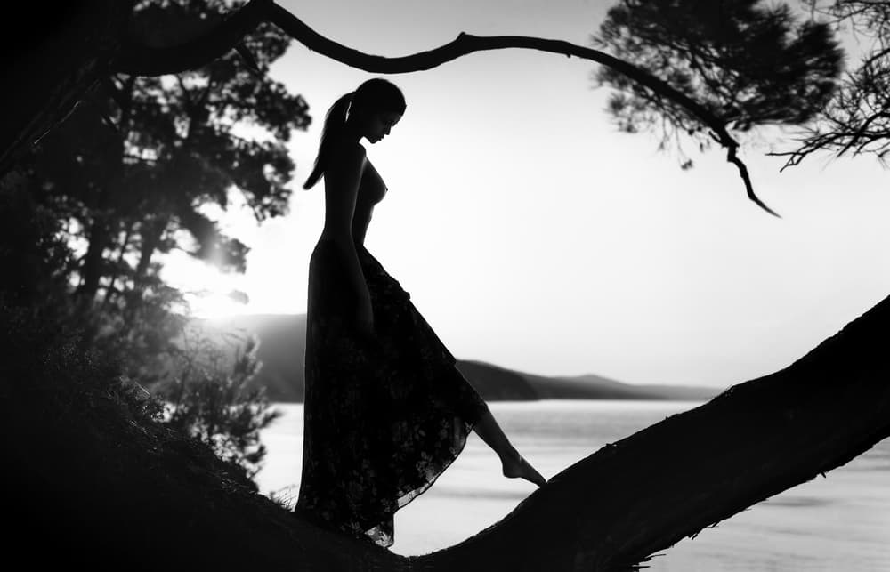 Serene Ocean Silhouette by Boris Belokonov — canvas wall art