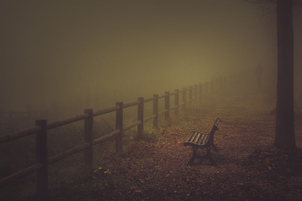 Misty Morning Path by Andrea Fraccaroli — canvas wall art