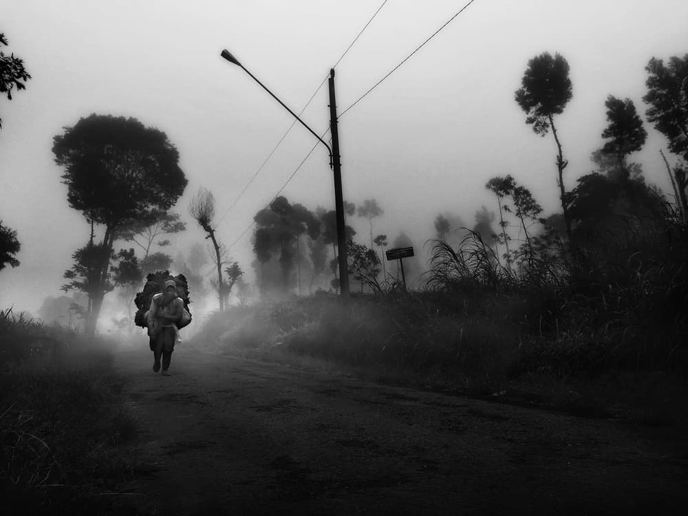 Misty Path Heavy Load by Hari Sulistiawan — canvas wall art