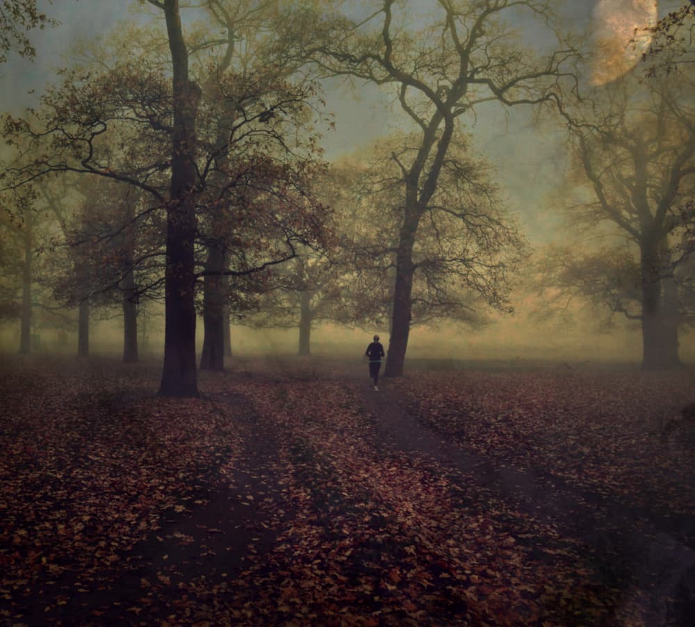 Misty Autumn Runner by Robert Fabrowski — canvas wall art