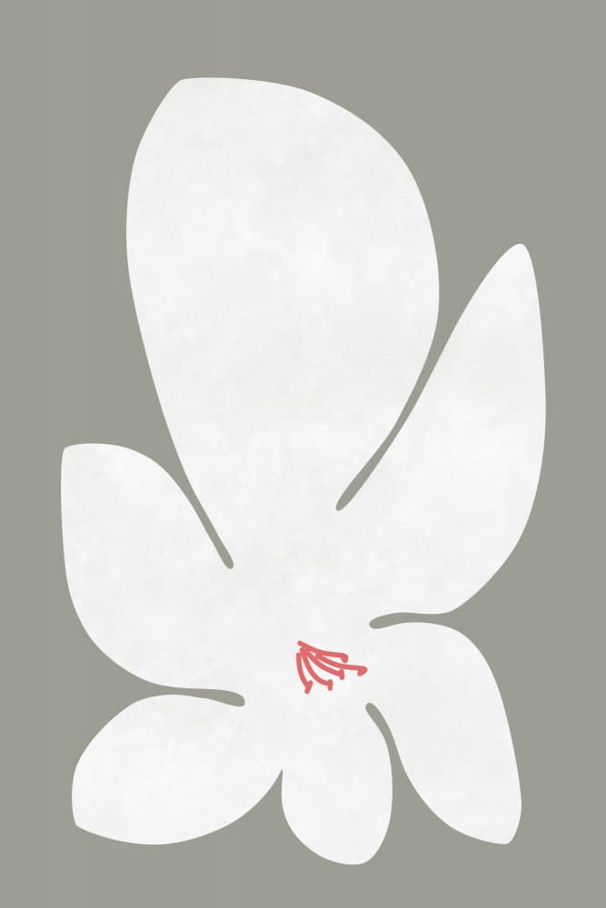 Abstract White Flower by amini54 — canvas wall art
