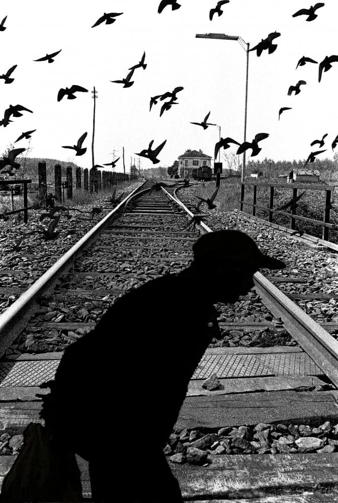 Tracks by Giorgio Pizzocaro — canvas wall art