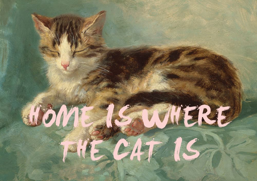 Cozy Kitten Home Quote by Talitha McQueen — canvas wall art