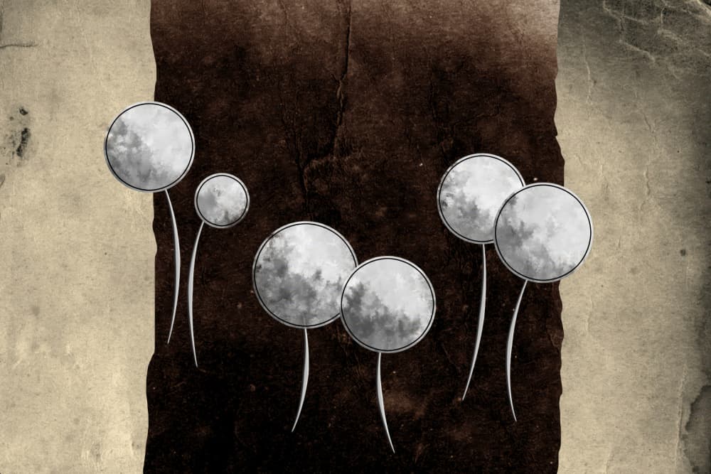 Floating Moon Gardens by Rafal Kulik — canvas wall art