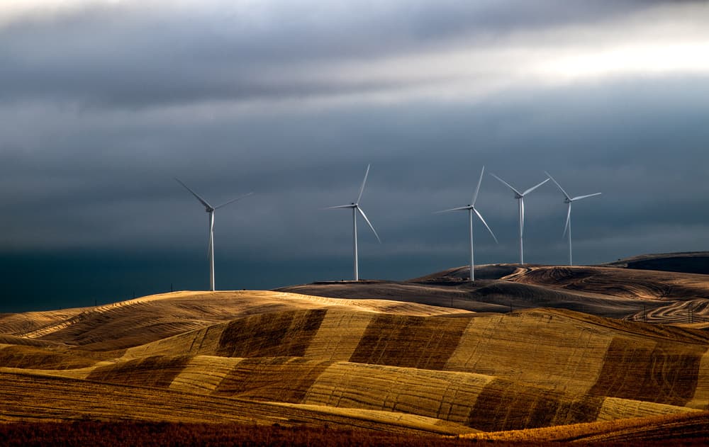 Wind Turbines Golden Fields by Charles Lai — canvas wall art