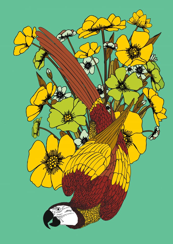Hanging Macaw Vibrant Flowers by Nicholas — canvas wall art