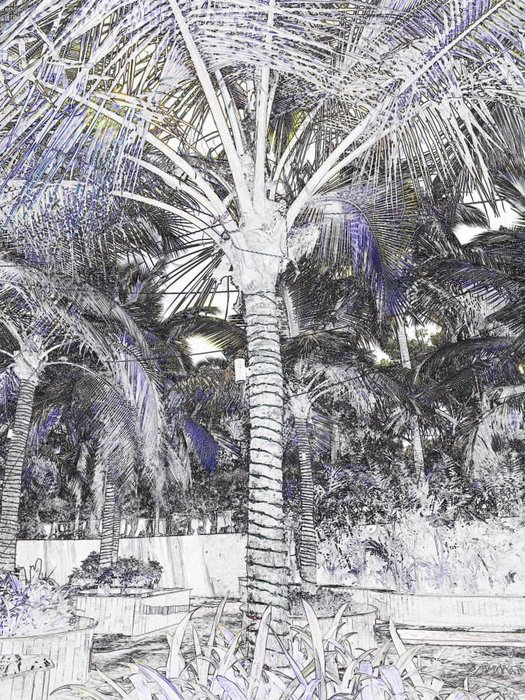 Stylized Palm Garden by Santhosh ch — canvas wall art
