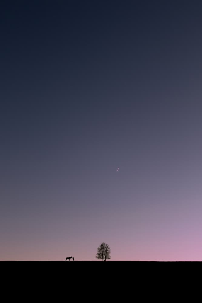 Serene Twilight Horizon by Hsiao-Yang Fei — canvas wall art