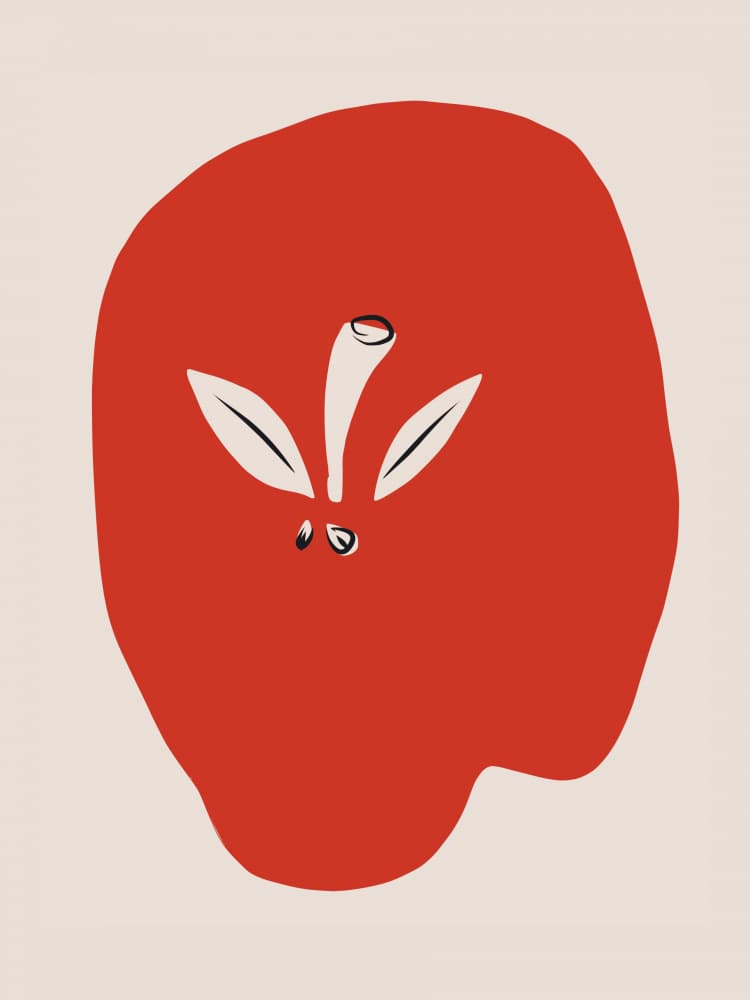 Red Minimalist Apple by Little Dean — canvas wall art