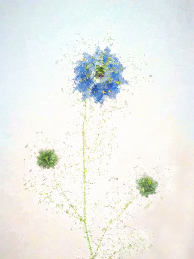 Delicate Blue Bloom by Lucie Gagnon — canvas wall art