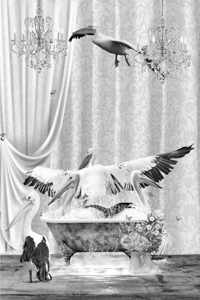Surreal Bathing Pelicans by Sue Skellern — canvas wall art