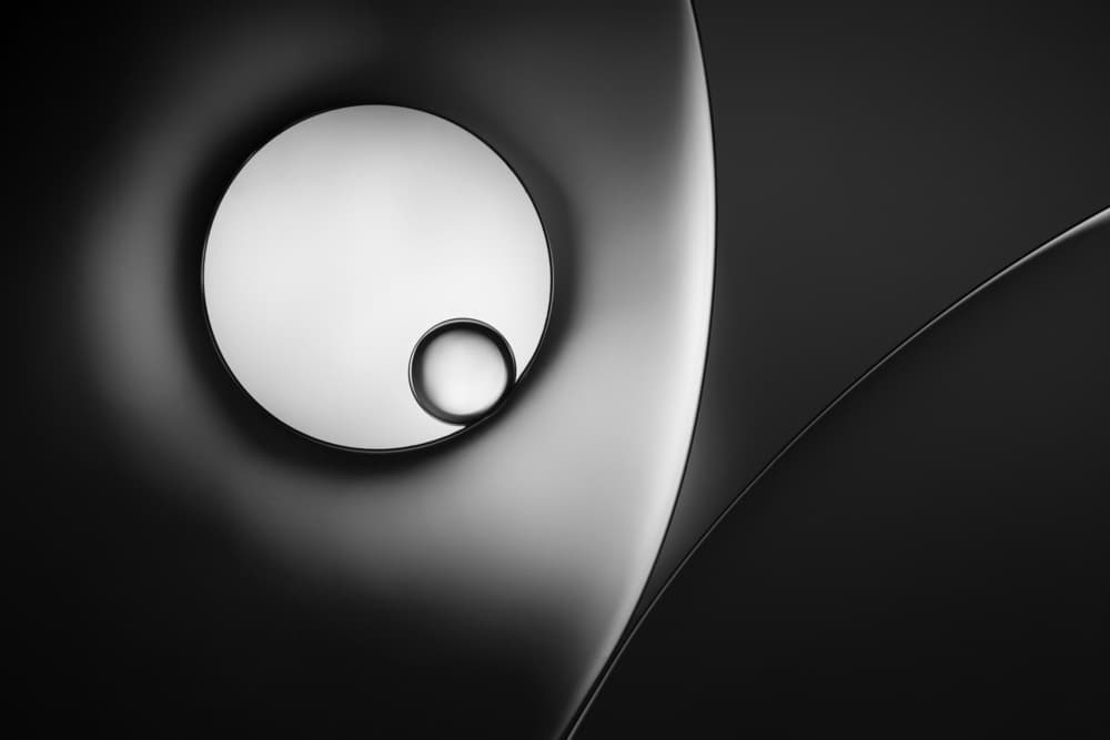 Monochrome Curves And Circles by Jacqueline Hammer — canvas wall art