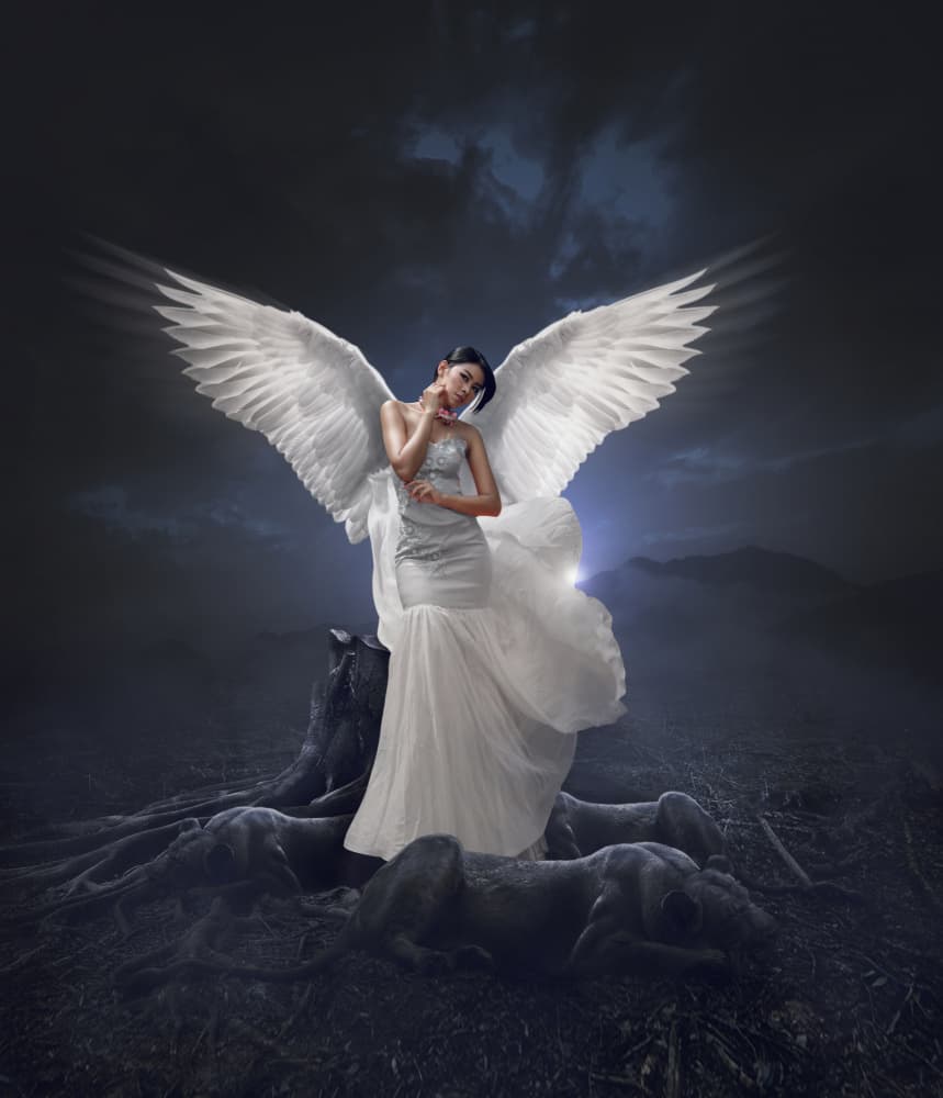 Dark Fantasy Angel by Ajar Setiadi — canvas wall art