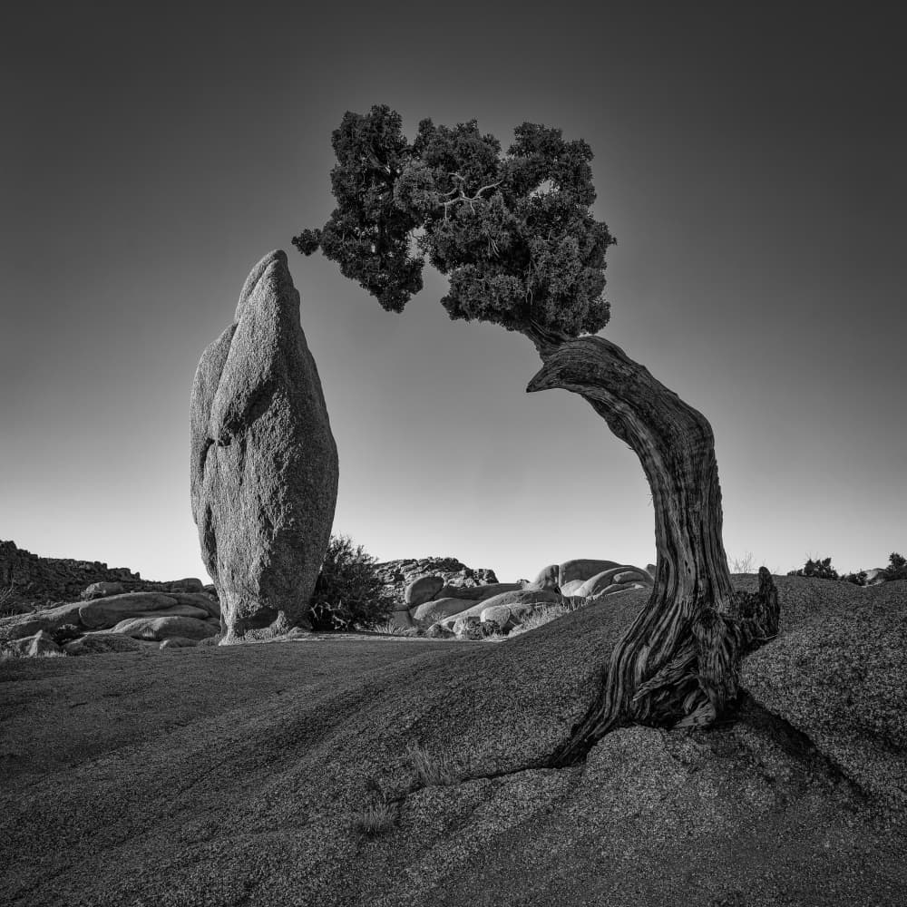Ancient Desert Duo by Andreas Klesse — canvas wall art
