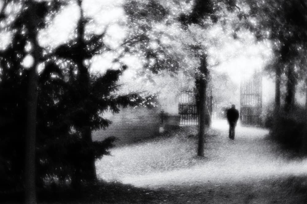Path Into Light by Vincenzo Pascale — canvas wall art