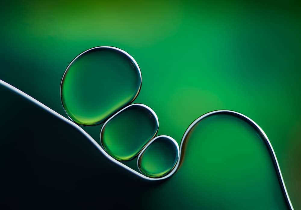 Emerald Fluid Shapes by Jacqueline Hammer — canvas wall art