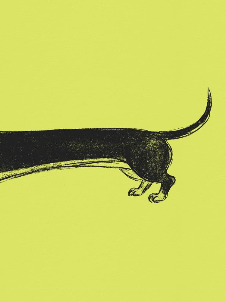Long Black Dachshund by Andreas Magnusson — canvas wall art