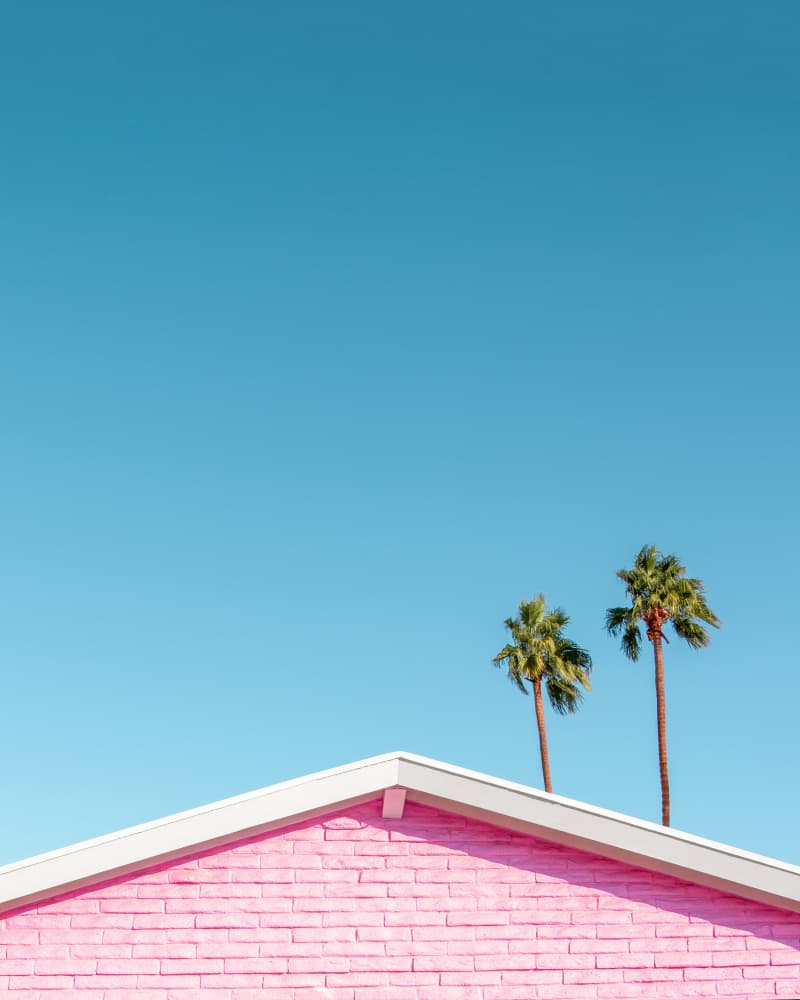 Pink Roofline with Palm Trees by Tom Windeknecht — canvas wall art