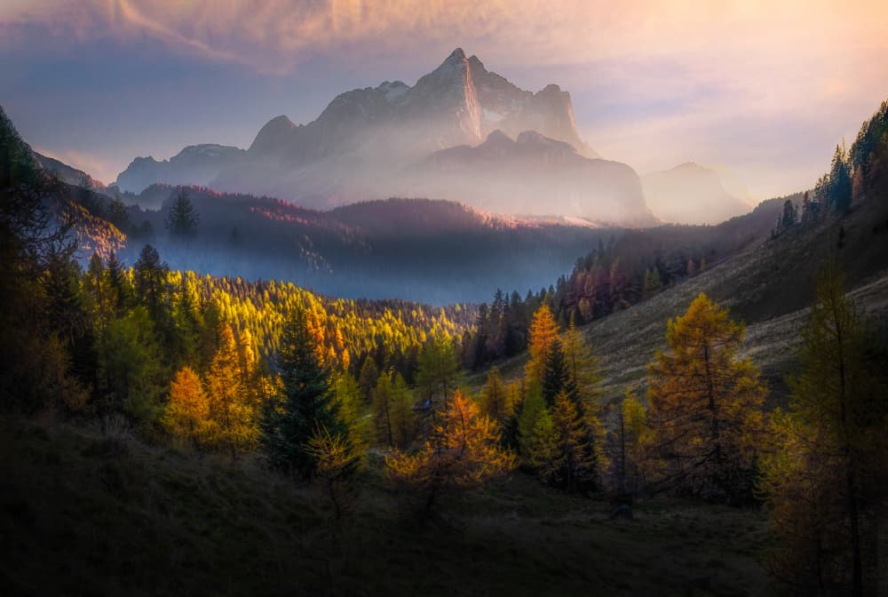 Golden Forest Mountains by Yun Thwaits — canvas wall art