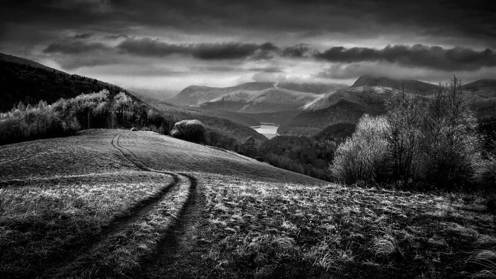 Winding Hill Path by Peter Svoboda MQEP — canvas wall art