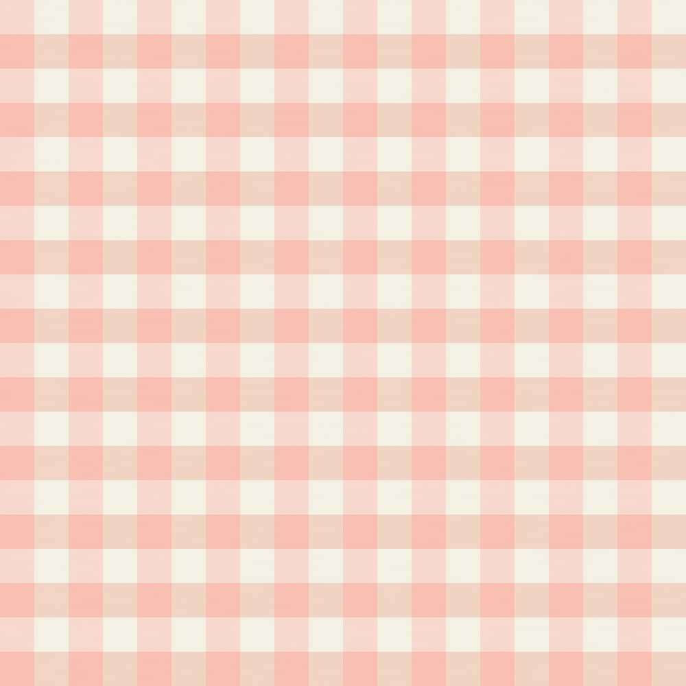 Soft Pink Gingham by Annick — canvas wall art