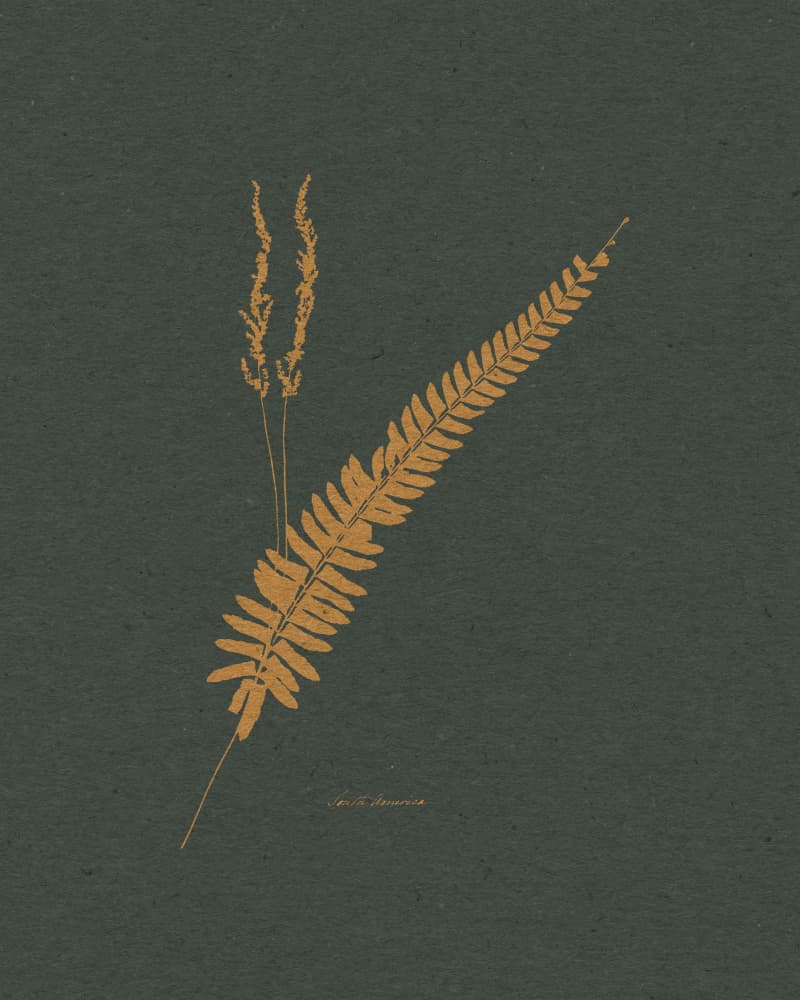 Golden Fern and Grass by Wild Violets — canvas wall art