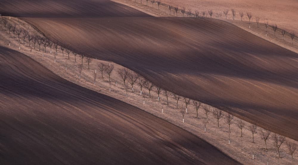 Rolling Earth Waves by Tomas Frolec — canvas wall art