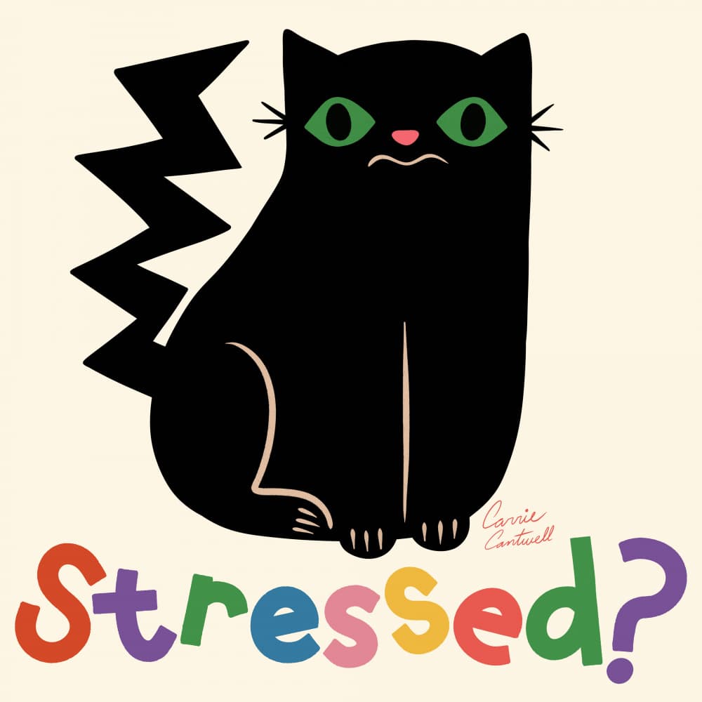 Stressed? by Carrie Cantwell — canvas wall art