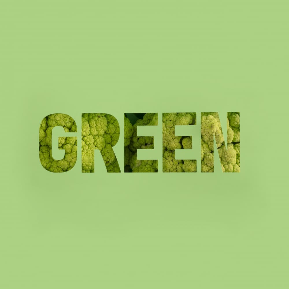 Healthy Green Word by Julia Ramiro — canvas wall art