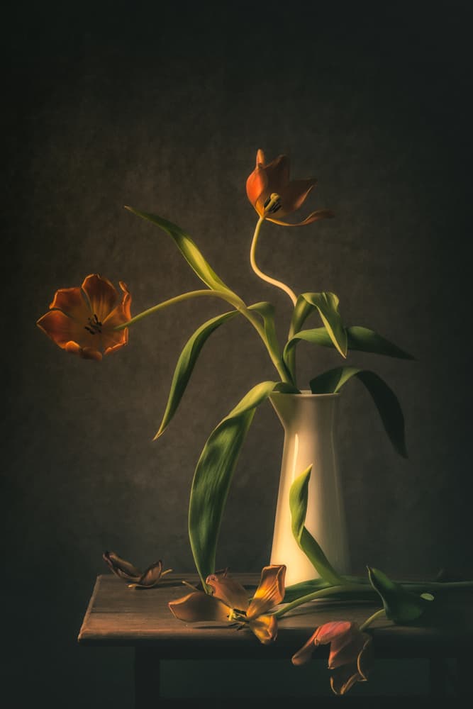 Moody Tulip Still Life by Monique van Velzen — canvas wall art