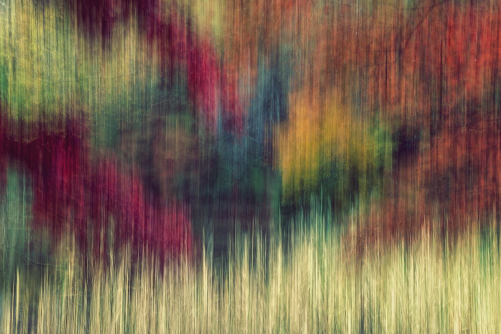 Vibrant Autumn Forest Blur by Yasutaka Sameshima — canvas wall art