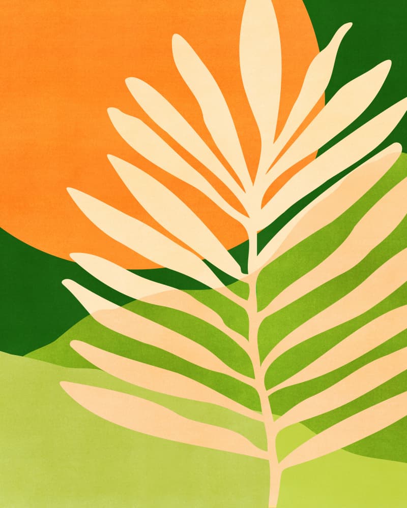 Sunny Palm Frond 4x5 by Kristian Gallagher — canvas wall art