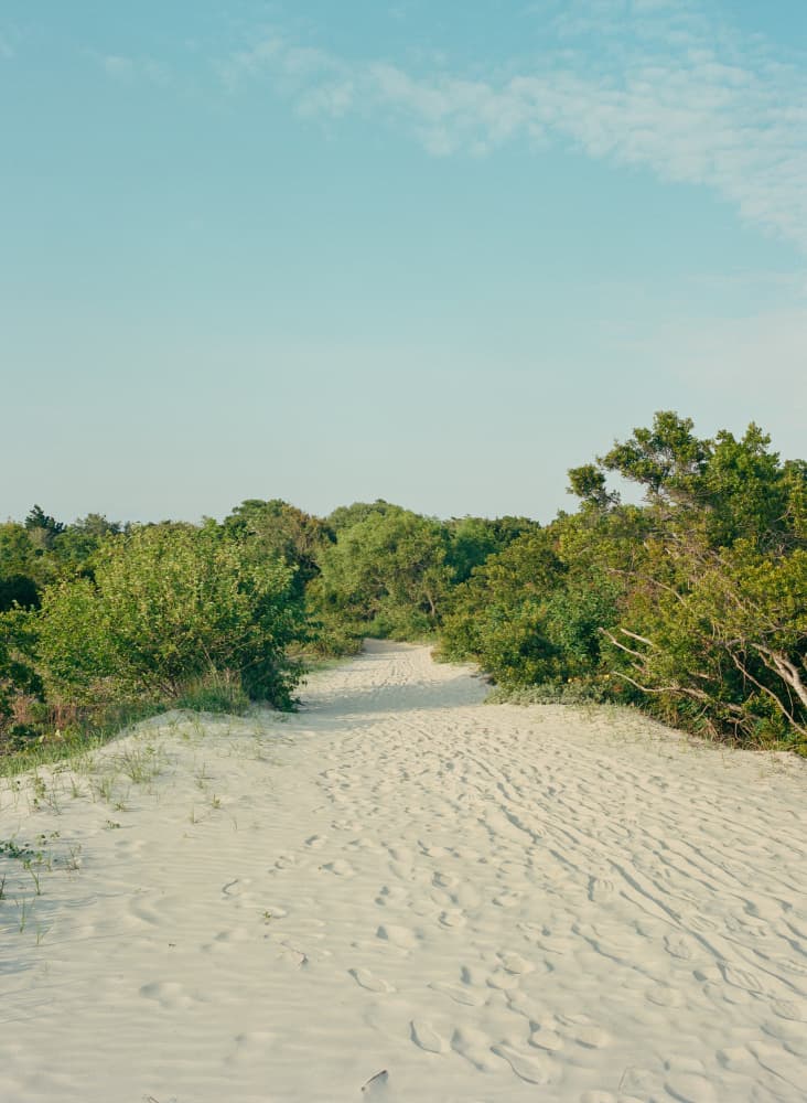 Path Through Dunes by Bethany Young — canvas wall art