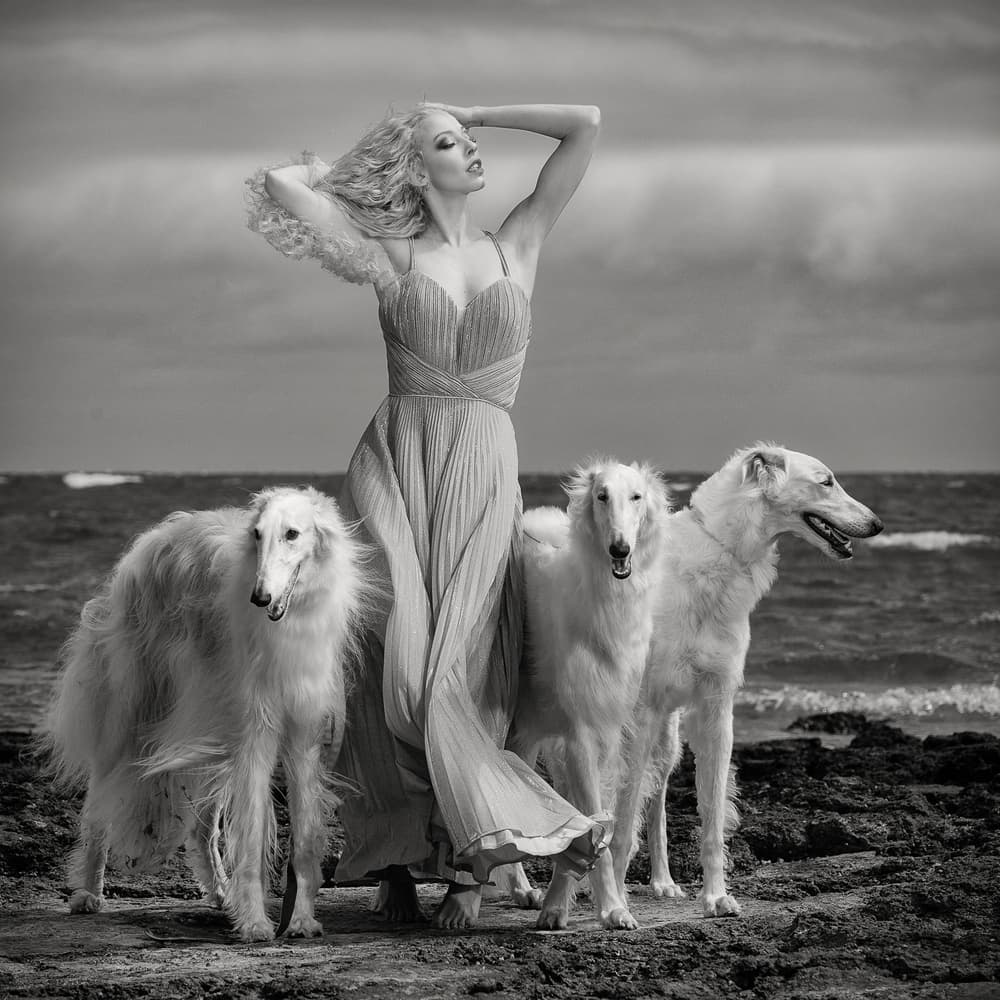 Elegant Woman Borzoi Hounds by Peter Elgar — canvas wall art