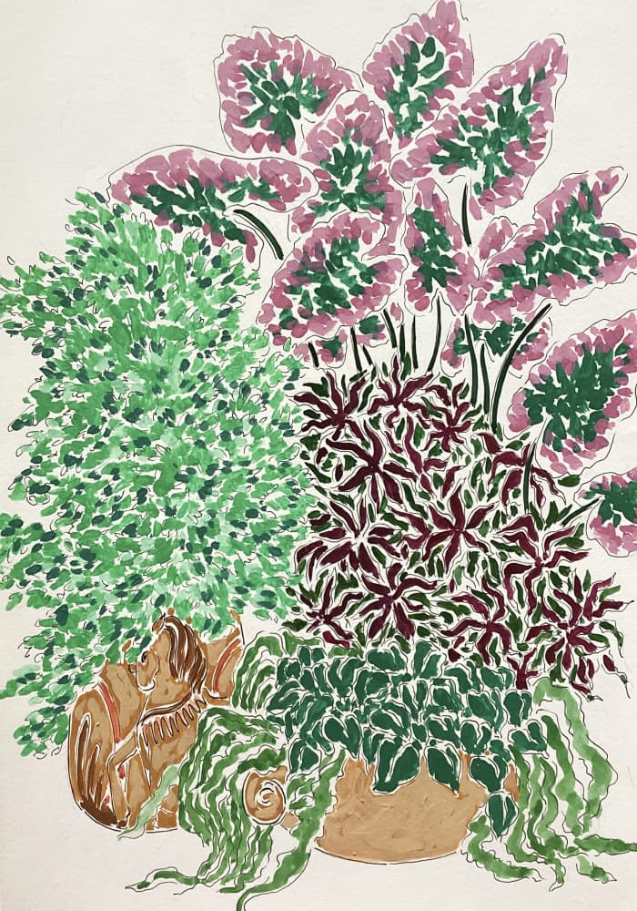 Vibrant Potted Plants