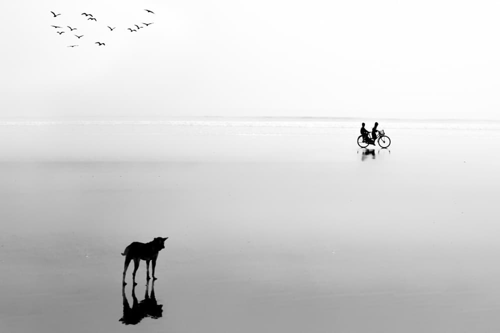 Beach Dog and Bicycle Ride by JAYATU CHANDRA DAS — canvas wall art
