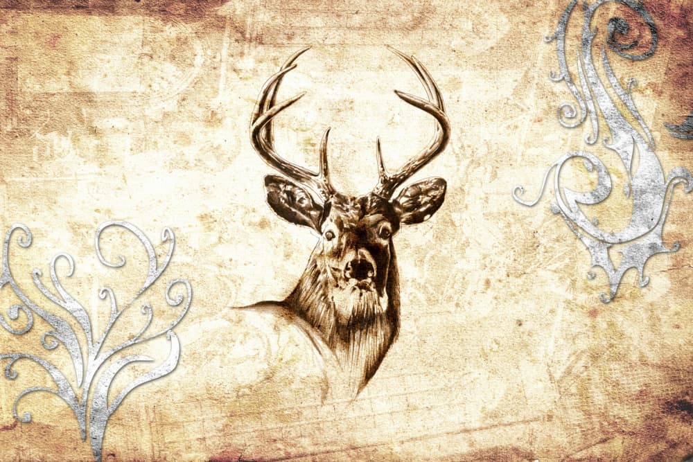 Rustic Antlered Deer Sketch by Rafal Kulik — canvas wall art