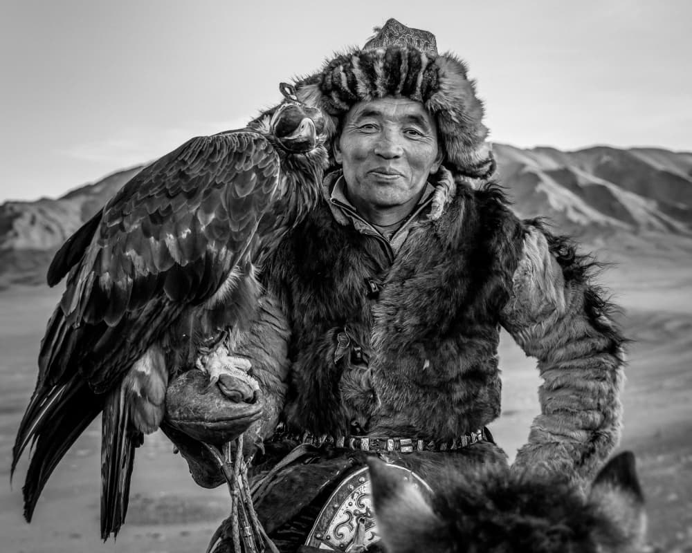 Golden Eagle Hunter Portrait by ADIREK M — canvas wall art