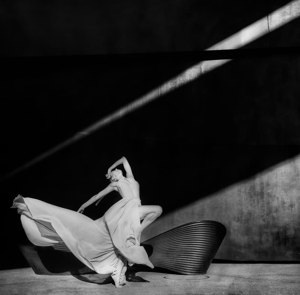 Graceful Shadow Dance by Rachel Pansky — canvas wall art