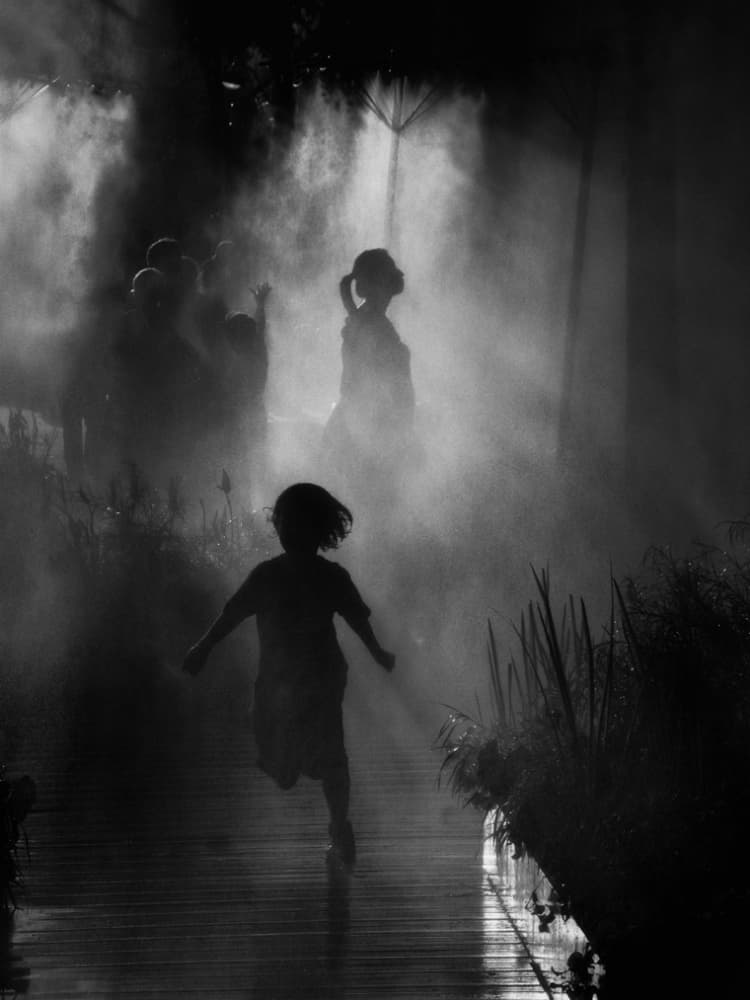 Children In Mist by Eric Drigny — canvas wall art