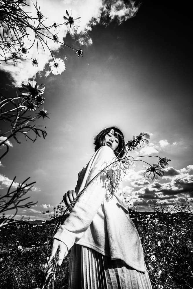 Woman in Cosmos Field by TORU MATSUNAGA — canvas wall art