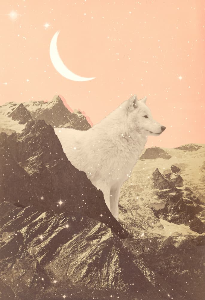 Moonlit Mountain Wolf by Florent Bodart — canvas wall art