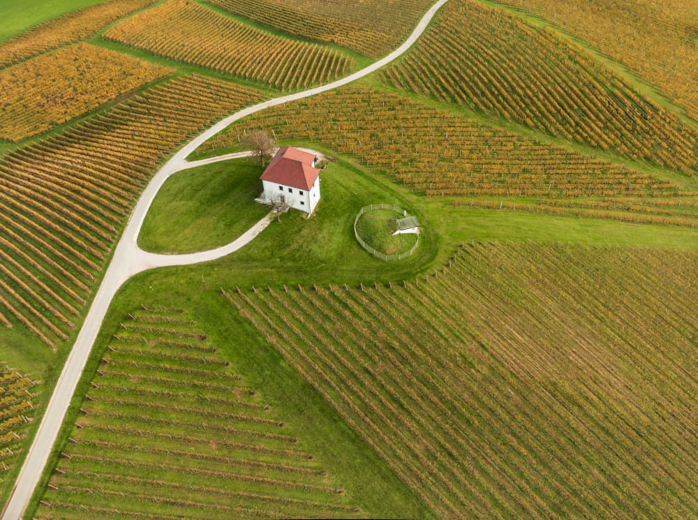 House Among Vineyards by Jure Kravanja — canvas wall art