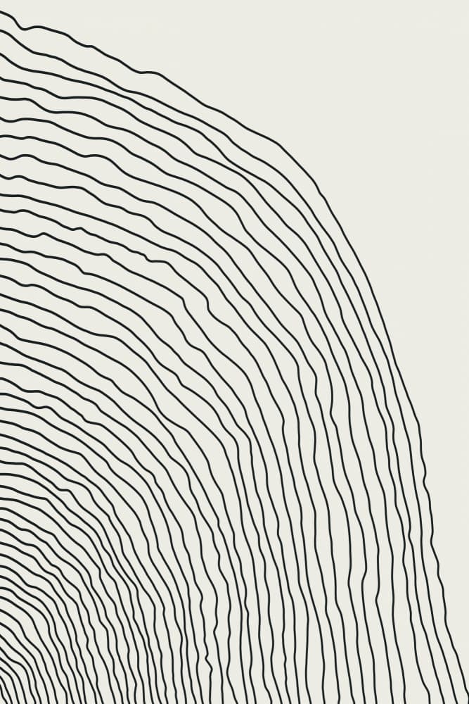 Wavy Organic Lines by jay stanley — canvas wall art