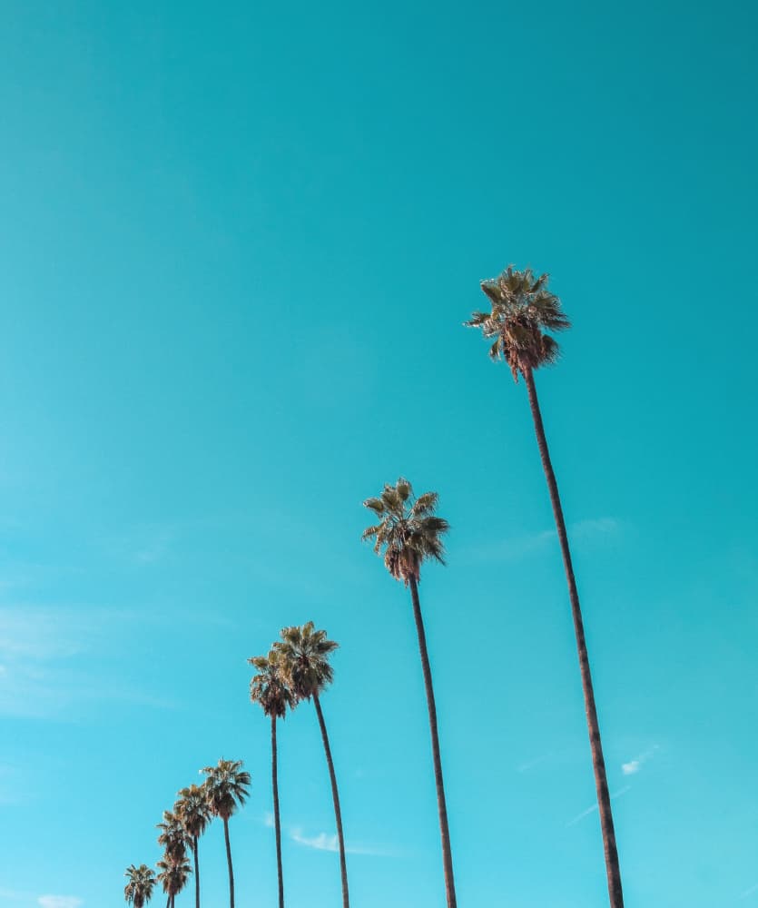 Skydusters by Tom Windeknecht — canvas wall art