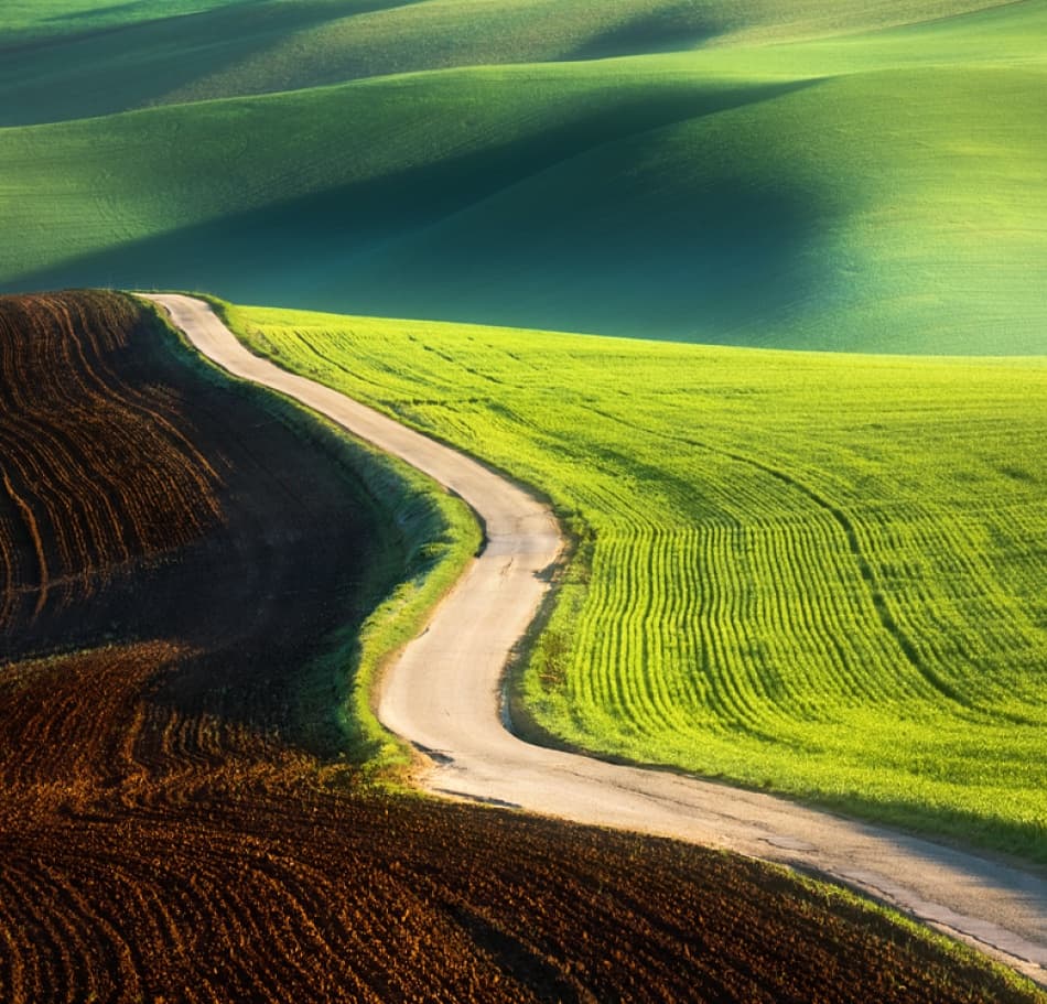 Winding Road Green Fields by Krzysztof Browko — canvas wall art